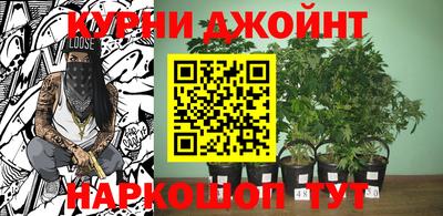 сатива Кинель