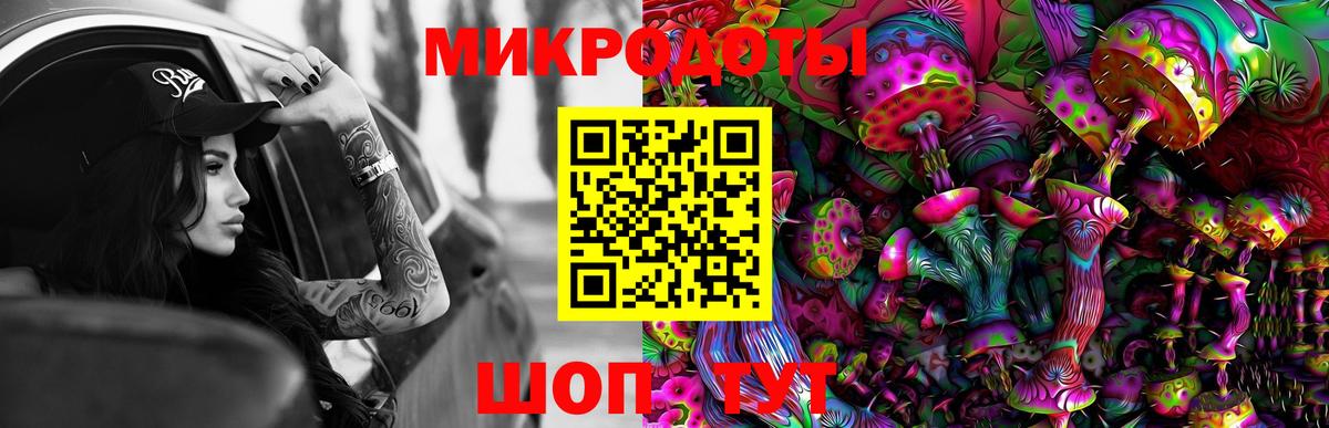 Галлюциногенные грибы GOLDEN TEACHER  Карасук  Галлюциногенные грибы Cubensis 