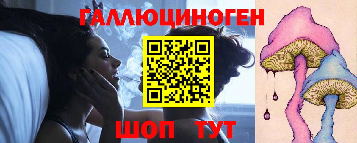 Псилоцибиновые грибы Psilocybe Карасук