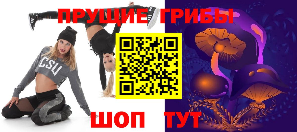 Карасук  Псилоцибиновые грибы Magic Shrooms  Вход с VPN 
