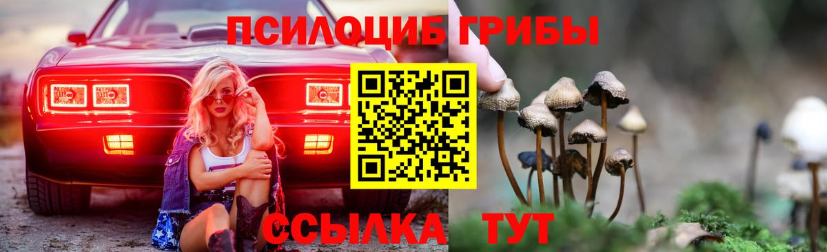 Псилоцибиновые грибы мухоморы Карасук