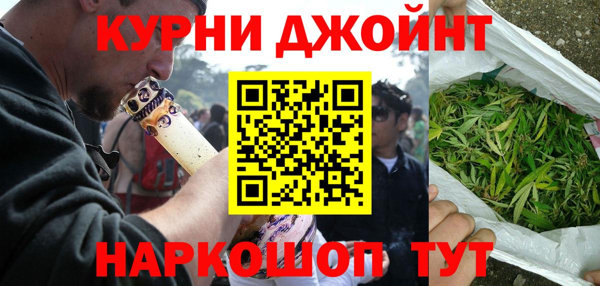 Бошки Шишки планчик Карасук